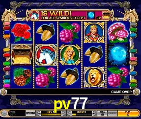 A Experiência Imersiva dos Cassinos Ao Vivo no pv77